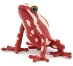 Papo Deutschland GmbH Frosch mit Kopf nach oben 5