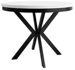 MIRJAN24 Tisch Edder 100, Esszimmer Tisch, Beine aus Stahl (Farbe: Schwarz /