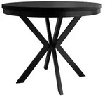 MIRJAN24 Tisch Edder 120, Esszimmer Tisch, Beine aus Stahl (Farbe: Schwarz /...
