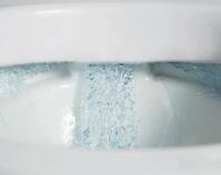 Sp&uuml;lrandloses WC 1088R inkl. Softclose Deckel - Wei&szlig; gl&auml;nzend,