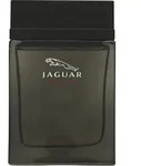 Jaguar Herrenparf&uuml;m EDT 100 ml Vision III (100 ml)