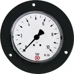Riegler Standardmanometer, Frontring schwarz, G 1/4 hinten, 0-60,0 bar, &Oslash; 63