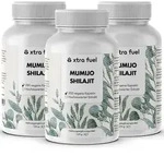 Shilajit Kapseln - 200x Mumijo Kapseln &ndash; 3x Dosen (600x Kapseln Mumijo)