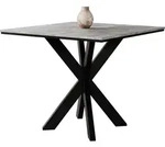 MIRJAN24 Esstisch Paro, Design Tisch, Stilvoll Esszimmertisch, Esszimmer (Farbe: