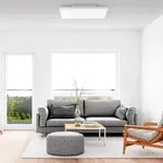 Paul Neuhaus LED Deckenlampe FRAMELESS CCT Farbwechsel dimmbar per Fernbedienung