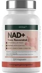 NAD+ Kapseln, hochdosiert 1000mg NAD+ & 600mg Trans-Resveratrol pro Tag, 120 St&uuml;ck