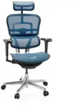 hjh OFFICE Luxus Chefsessel ERGOHUMAN ULTRA GEN2 Ergonomischer B&uuml;rostuhl mit