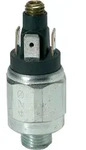 Riegler Druckschalter, Wechselkontakt, Stahl ver., 42 V, G 1/4, 1-10 bar