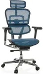 hjh OFFICE Luxus Chefsessel ERGOHUMAN GEN2 Ergonomischer B&uuml;rostuhl mit...