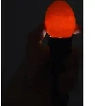 Kerbl LED-Schierlampe &Oslash; 3,5 cm 73126