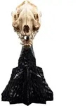 Herr der Ringe Mini Statue Skull of a Warg 20 cm