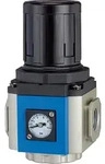 Riegler Druckregler &raquo;G&laquo;, inkl. Manometer, BG 400, G 3/8, 0,5 - 9 bar