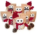 Bastelset "Christmas Owl red" + Extras - Braun
