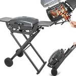 Teesa 1-burner gas barbecue eesa BBQ 1000