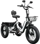 Remington R100 E Bike Dreirad 20 Zoll Elektrodreirad Pedelec City mit tiefem...
