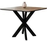 MIRJAN24 Esstisch Paro, Design Tisch, Stilvoll Esszimmertisch, Esszimmer (Farbe: