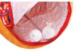 LUDI 30129, 0,5 Jahr(e), Polyester, Mehrfarbig