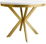 MIRJAN24 Tisch Edder 120, Esszimmer Tisch, Beine aus Stahl (Farbe: Gold /...