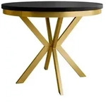 MIRJAN24 Tisch Edder 120, Esszimmer Tisch, Beine aus Stahl (Farbe: Gold /...