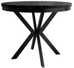 MIRJAN24 Tisch Edder 100, Esszimmer Tisch, Beine aus Stahl (Farbe: Schwarz /...