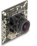 DeLOCK Analoges CVBS Kameramodul mit HDR 2,1 Megapixel 130&deg; V8 Fixfokus, Kamera, 3