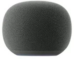 Google Home Speaker, Oval, Schwarz, Hazel, Kunststoff, Verkabelt & Kabellos,...