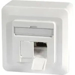 EFB Netzwerkdose CAT6A, Unterputz RAL9010 Datendose Anschlussdose - Wei&szlig;
