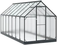 vidaXL Garten Gew&auml;chshaus 183,5 x 423,5 x 207 cm