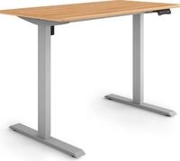ESMART Germany ETX-121GM 120 x 60 cm Ahorn-Nachbildung Ergonomischer