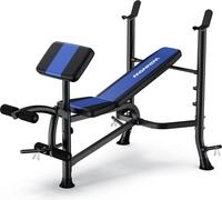 Verstellbare Hantelbank mit Beinstrecker und Preacher Curl Blau