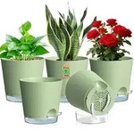 Selbstbew&auml;sserungstopf 5er Set Kunststoff &Oslash; 17,8 cm Gr&uuml;n mit...