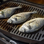 Edelstahl INOX Grillroste f&uuml;r die Weber Q200/2000 Baureihe | sp&uuml;lmaschinenfest -