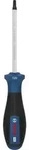 PRO Schraubendreher TX25 x 100 mm