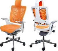 B&uuml;rostuhl MERRYFAIR Wau 2b, Schreibtischstuhl Drehstuhl, Hartschale, ergonomisch
