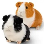 Meerschweinchen Kuscheltier 2 St&uuml;ck Realistisch Weich Stofftier Geschenk...