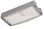 Ceag Notlichtsysteme LED-Einzelbatterie-Leuchte m.autom. Funkt.test