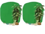 Pflanzen Winterschutzhaube mit Rei&szlig;verschluss 200 x 240 cm Gr&uuml;n 2 St&uuml;ck -...
