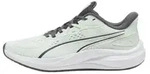 Puma Unisex Skyrocket Lite 2 Stra&szlig;en-Laufschuh, Salbei Glow-Moody Gray Silver,...