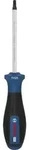 PRO Schraubendreher TH25 x 100 mm