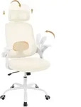 WOLTU B&uuml;rostuhl ergonomisch, Lendenwirbelst&uuml;tze, Wippfunktion, Netzstoff :...