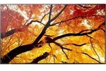 Sharp MultiSync M322, Digital Signage Flachbildschirm, 81,3 cm (32"), LCD, 1920 x