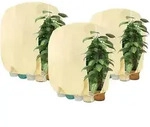Pflanzen Winterschutzhaube mit Rei&szlig;verschluss 120 x 180 cm Beige 3 St&uuml;ck -...