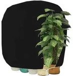 Pflanzen-Winterschutzhaube mit Rei&szlig;verschluss 200x240cm Schwarz