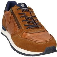 Salamander Herren Sneaker E31ARW0214006300 Farbe: Braun Gr&ouml;&szlig;e: 43