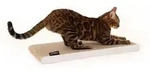 Umkehrbare Krabplank f&uuml;r Katzen aus Karton wei&szlig; - Wei&szlig;