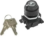 Riegler Verschlie&szlig;barer 2-Stellungsschalter, Schl&uuml;sselabzug Grundstellung