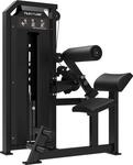 Tunturi Platinum Dual R&uuml;cken/Bauch Kombi-Kraftstation &ndash; Fitnessger&auml;t &ndash; Pin