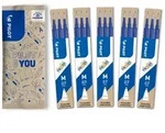 PILOT FriXion Ersatzminen 0.7 - 15 St&uuml;ck - Blau - Radierbare Tinte - Kompatibel Mit