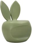 Gr&uuml;ner Hasenstuhl aus Polyethylen, 57 x 55 x 79 cm &ndash; Moderner Stuhl f&uuml;r...