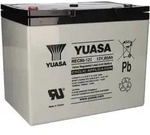 Yuasa REC80-12I zyklenfester AGM-Bleiakku 12V 80Ah &ndash; M6-Innengewinde